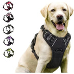 Dog Vest Harness and Leash Set – Comfortable No-Choke Walking Harness for Puppies, Small & Medium Dogs