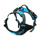 Dog Vest Harness and Leash Set – dog harness photo 14