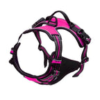 Dog Vest Harness and Leash Set – dog harness photo 12