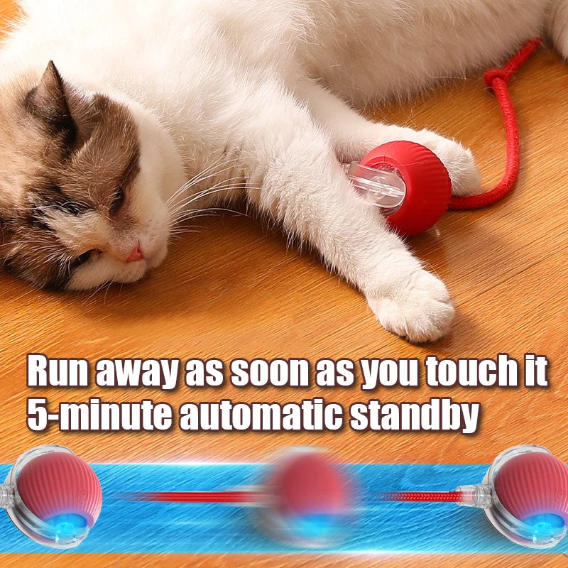 Automatic Rolling Cat Ball with Mouse Tail – cat toys photo 3
