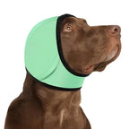 Dog Calming Ear Muffs – dog apparel photo 8