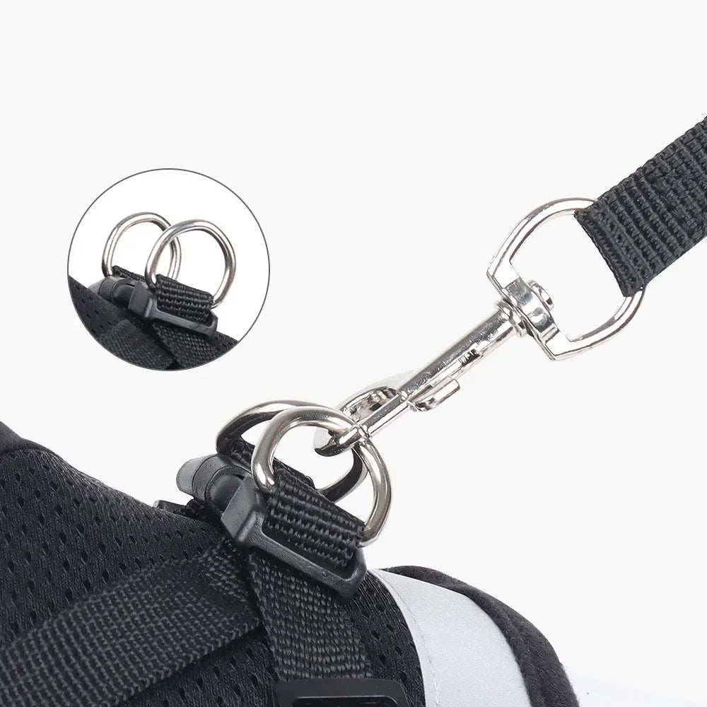 Cat Harness and Leash Set – photo 6