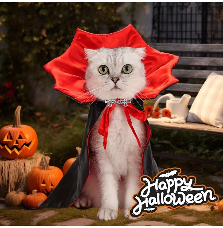 Vampire Cat Costume – pet costume photo 6