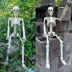 Halloween Skeleton Prop – Humanoid Skeleton Decoration for Haunted House, Balcony & Party Decor