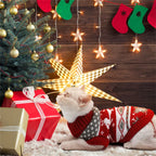 Cute Cat Sweater – pet sweater photo 5