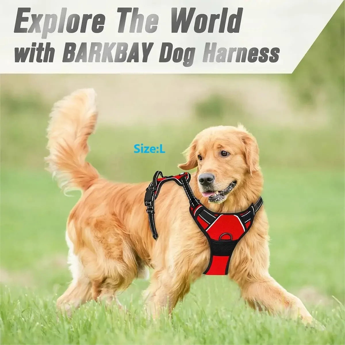 Dog Vest Harness and Leash Set – dog harness photo 3