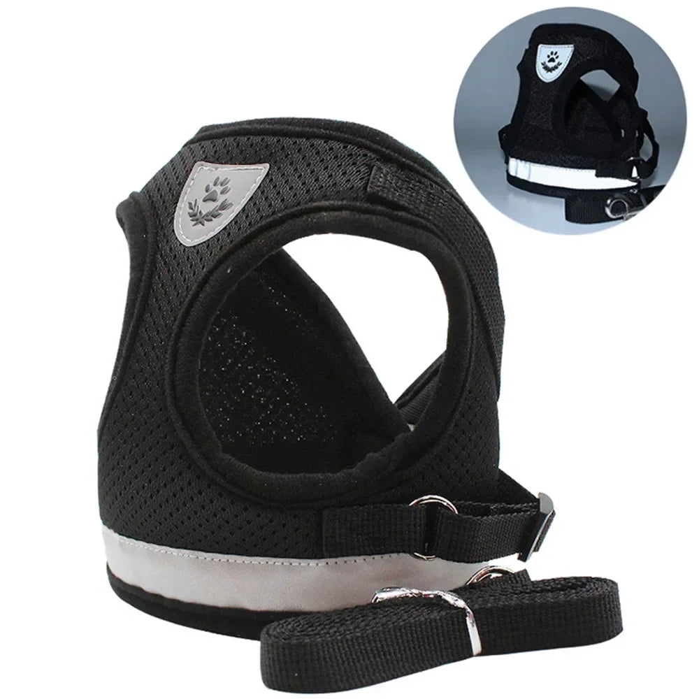 Cat Harness and Leash Set – photo 9