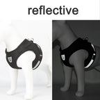 Cat Harness and Leash Set – photo 5