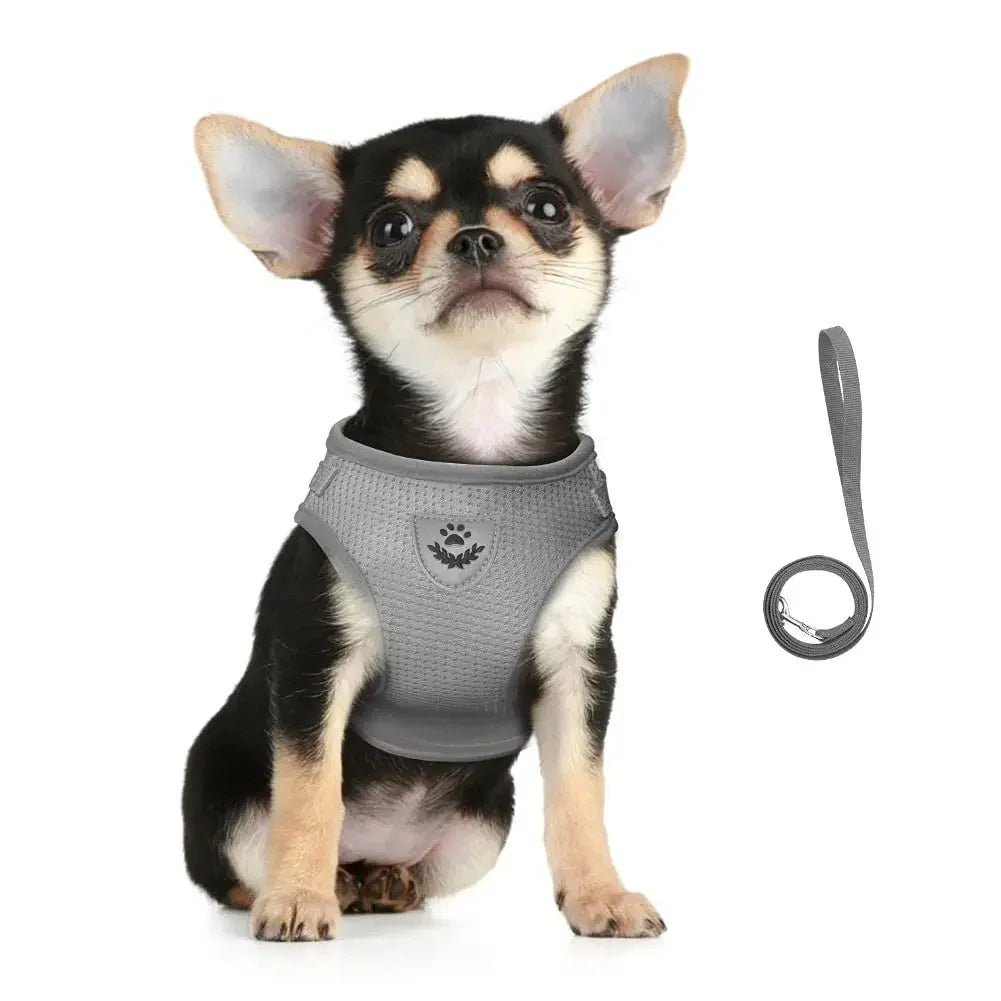 Cat Harness and Leash Set – photo 4