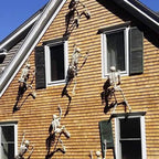 Halloween Skeleton Prop – halloween decor photo 4