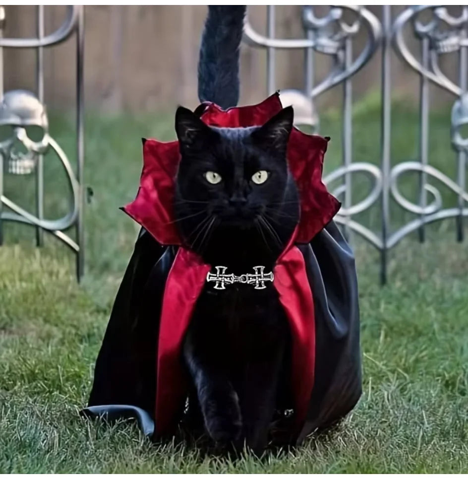 Vampire Cat Costume – pet costume photo 2
