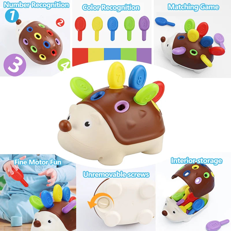 Montessori Hedgehog Fine Motor Toy – educational toy photo 3