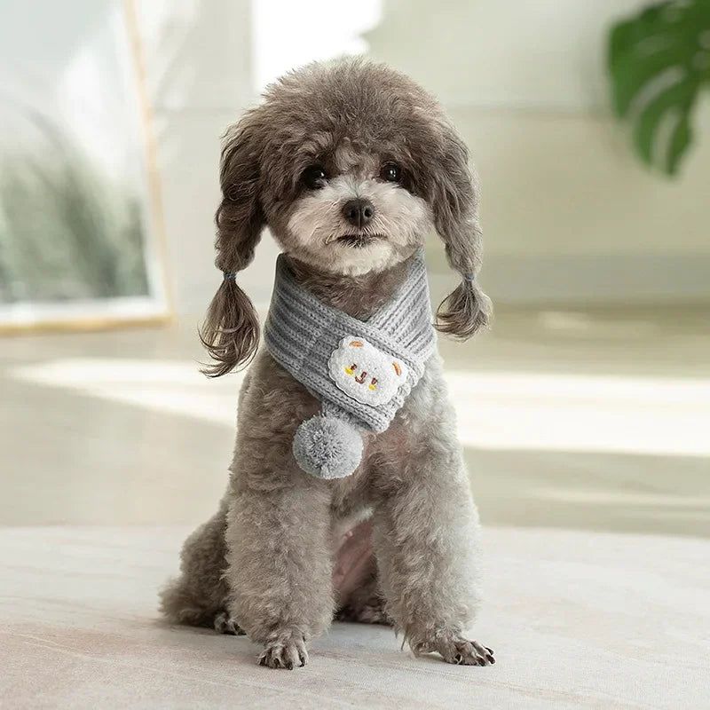 Knitted Pet Scarf – photo 4