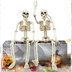 Halloween Skeleton Prop – halloween decor photo 2