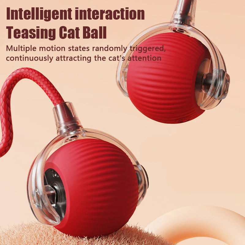 Automatic Rolling Cat Ball with Mouse Tail – USB-C Rechargeable Interactive Cat Toy | Multi-Speed Smart Toy for Indoor Cats