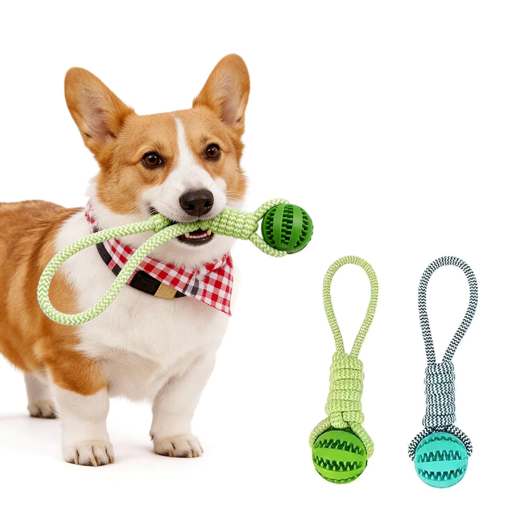 Dog Rope Tug Toy with Treat-Dispensing Ball – Interactive Chew & Teeth Cleaning Toy for Puppies, Small & Medium Dogs