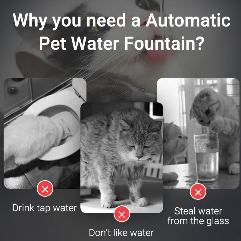 Automatic Cat Water Fountain – pet water fountain photo 6