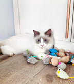 Catnip Mouse Cat Toys with Rattle – photo 4