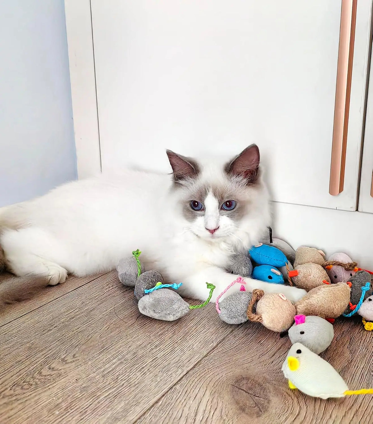 Catnip Mouse Cat Toys with Rattle – photo 4