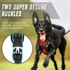 Dog Vest Harness and Leash Set – dog harness photo 5
