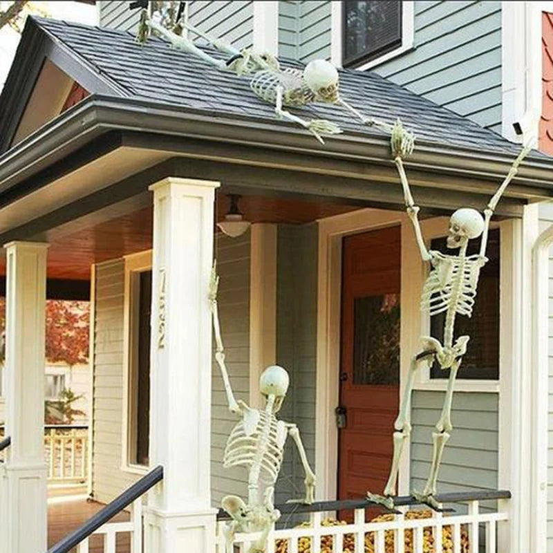 Halloween Skeleton Prop – halloween decor photo 5