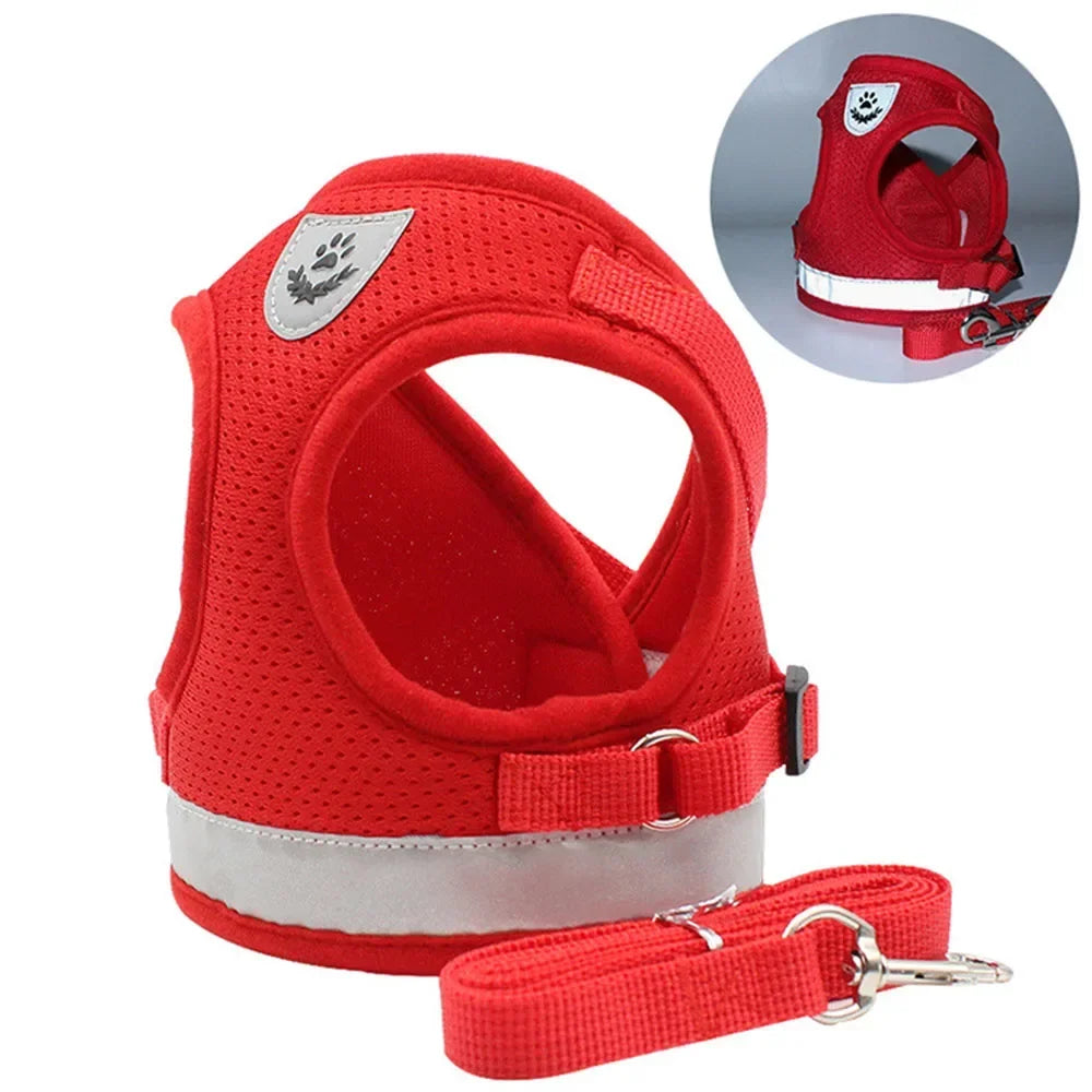 Cat Harness and Leash Set – photo 10