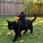 Cat Knight Costume – pet costume photo 4