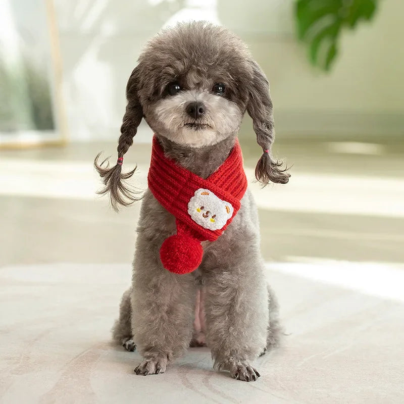 Knitted Pet Scarf – photo 7