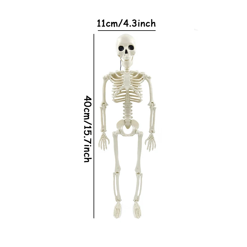 Halloween Skeleton Prop – halloween decor photo 6