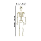 Halloween Skeleton Prop – halloween decor photo 6
