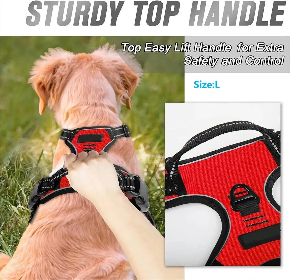 Dog Vest Harness and Leash Set – dog harness photo 4