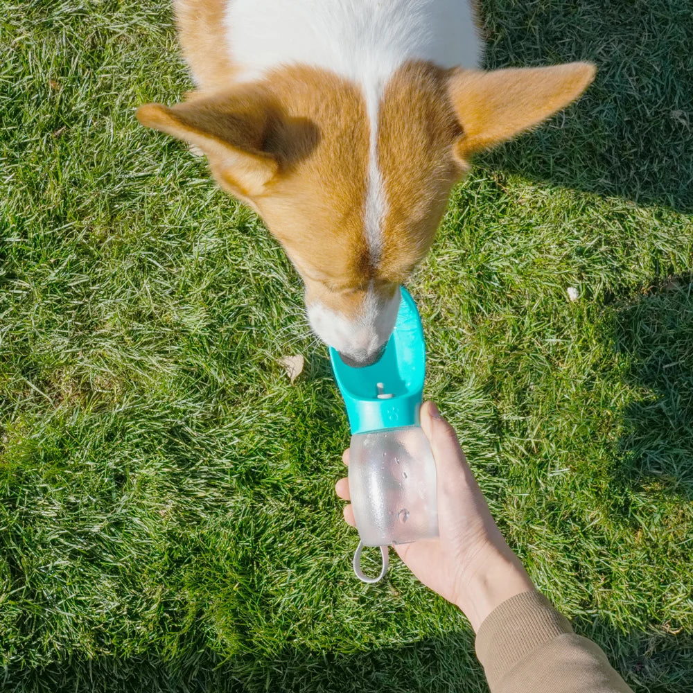Portable Dog Water Bottle 300 ml – pet water bottle photo 5